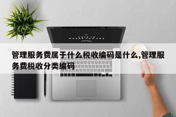 管理服务费属于什么税收编码是什么,管理服务费税收分类编码