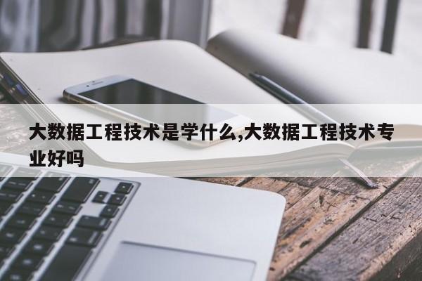 大数据工程技术是学什么,大数据工程技术专业好吗