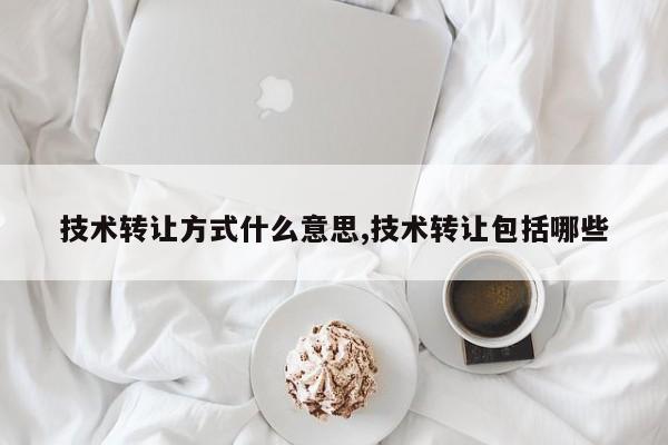 技术转让方式什么意思,技术转让包括哪些