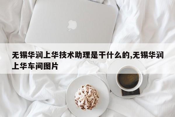 无锡华润上华技术助理是干什么的,无锡华润上华车间图片